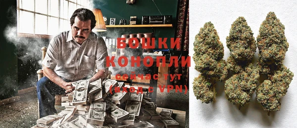 сатива Бронницы