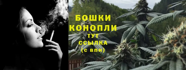 молекула духа Бугульма
