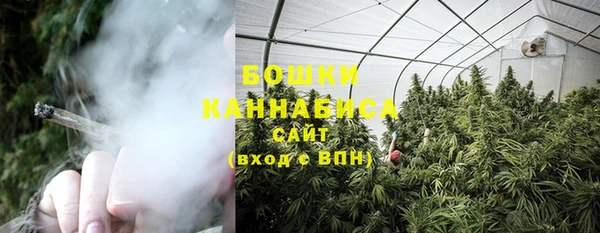стаф Богородск