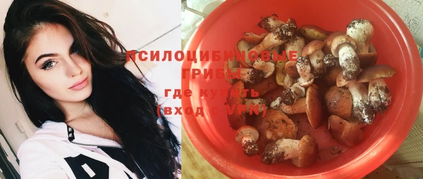 гашик Бородино